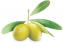olives_PNG14284.png
